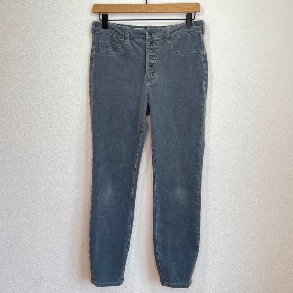 Pilcro Anthropologie High Rise Skinny Pants - 29 - Fine Corduroy Button Up Gray